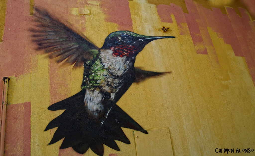 Colibrí