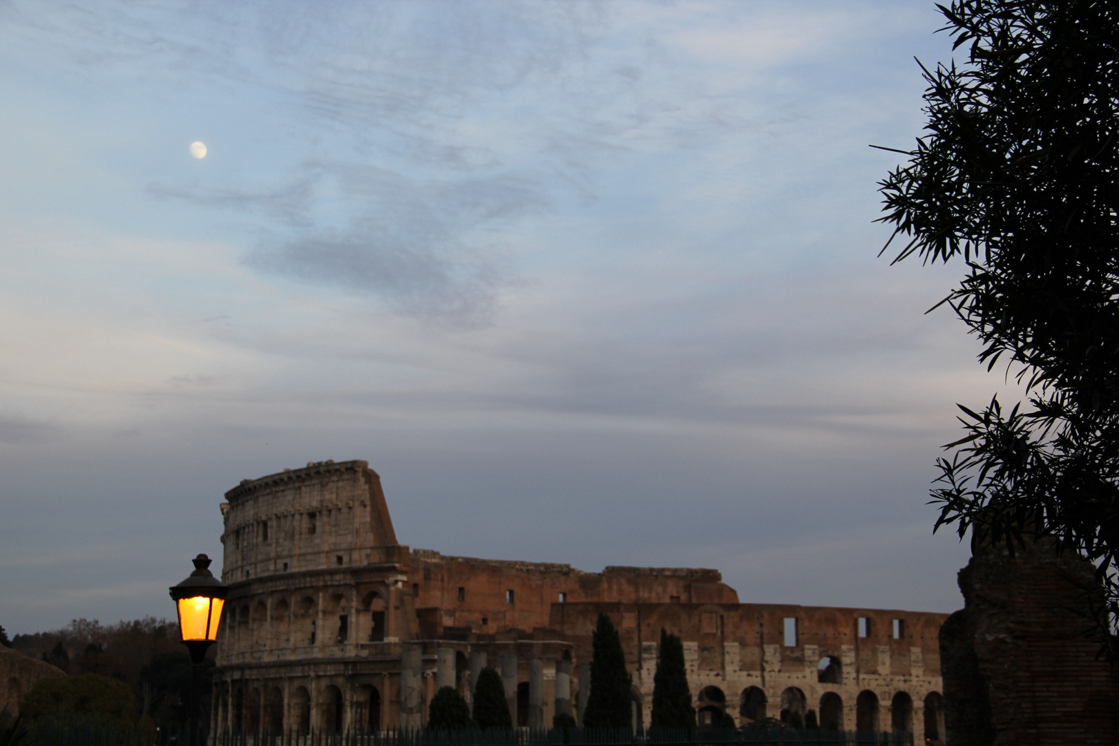 Coliseo De Roma