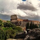 COLISEO DE ROMA