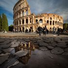 Coliseo de Roma 