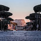 Coliseo - Roma