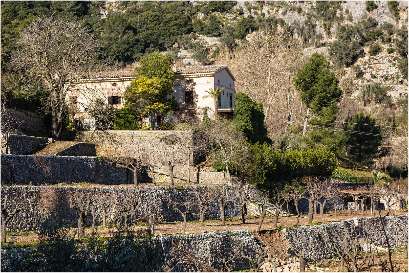 Coll de Soller