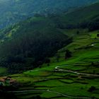 Collados de Carmona ( Cantabria)