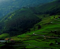 Collados de Carmona ( Cantabria)