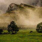 Collados del Asón: El paraíso de Cantabria.