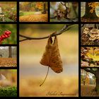 Collage 1 / Herbst-Impressionen