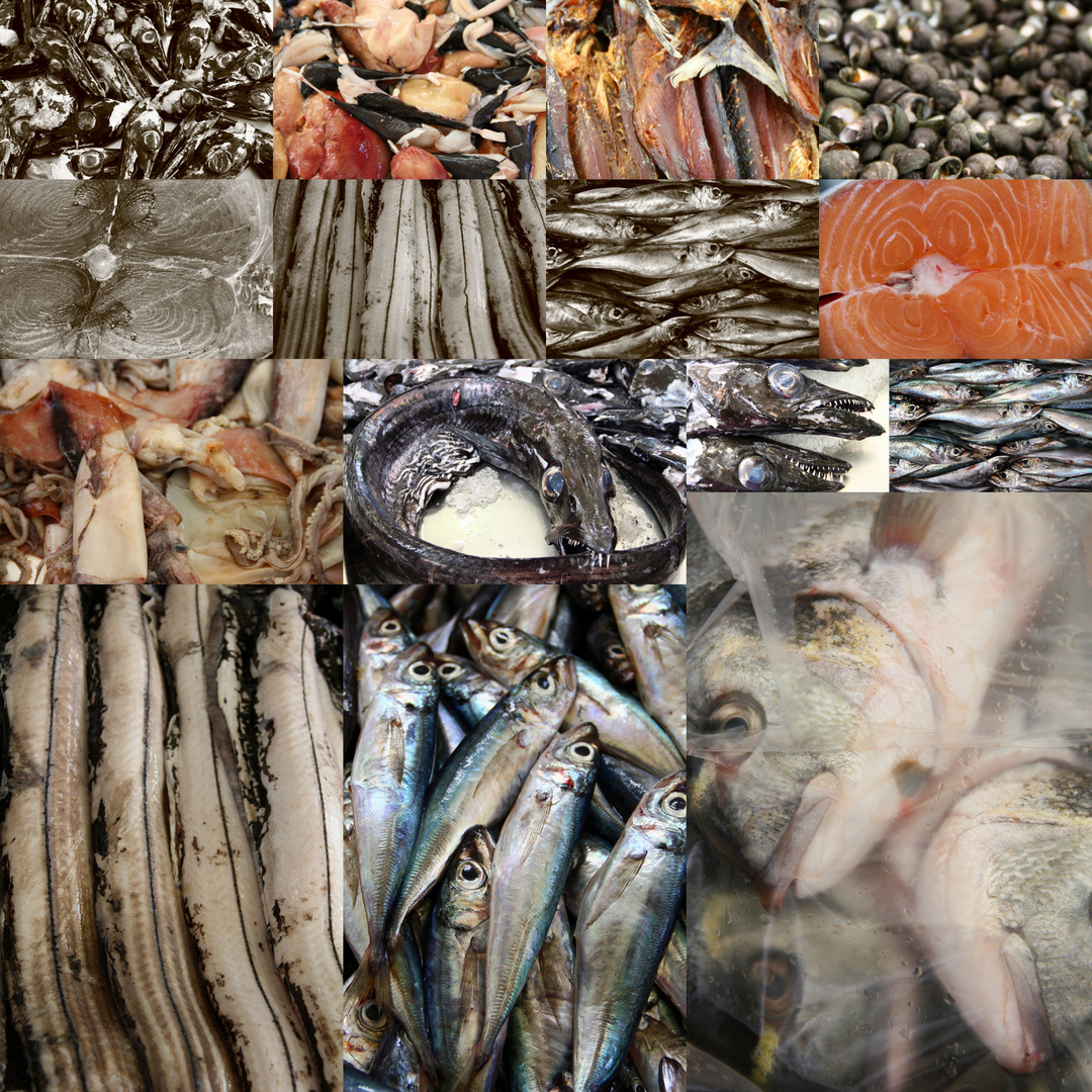 Collage- Allerlei aus dem Fischmarkt auf Madeira (Funchal)