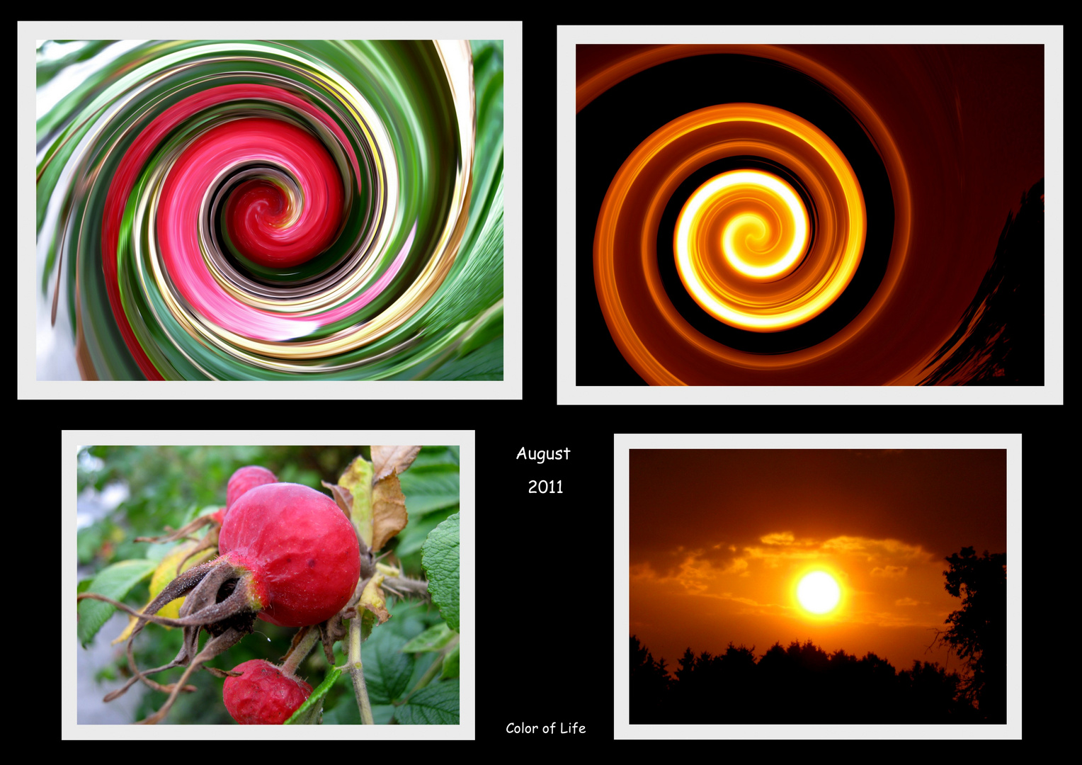 Collage... aus Natur wird "Kunst"