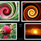 Collage... aus Natur wird "Kunst"