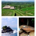 Collage Bali