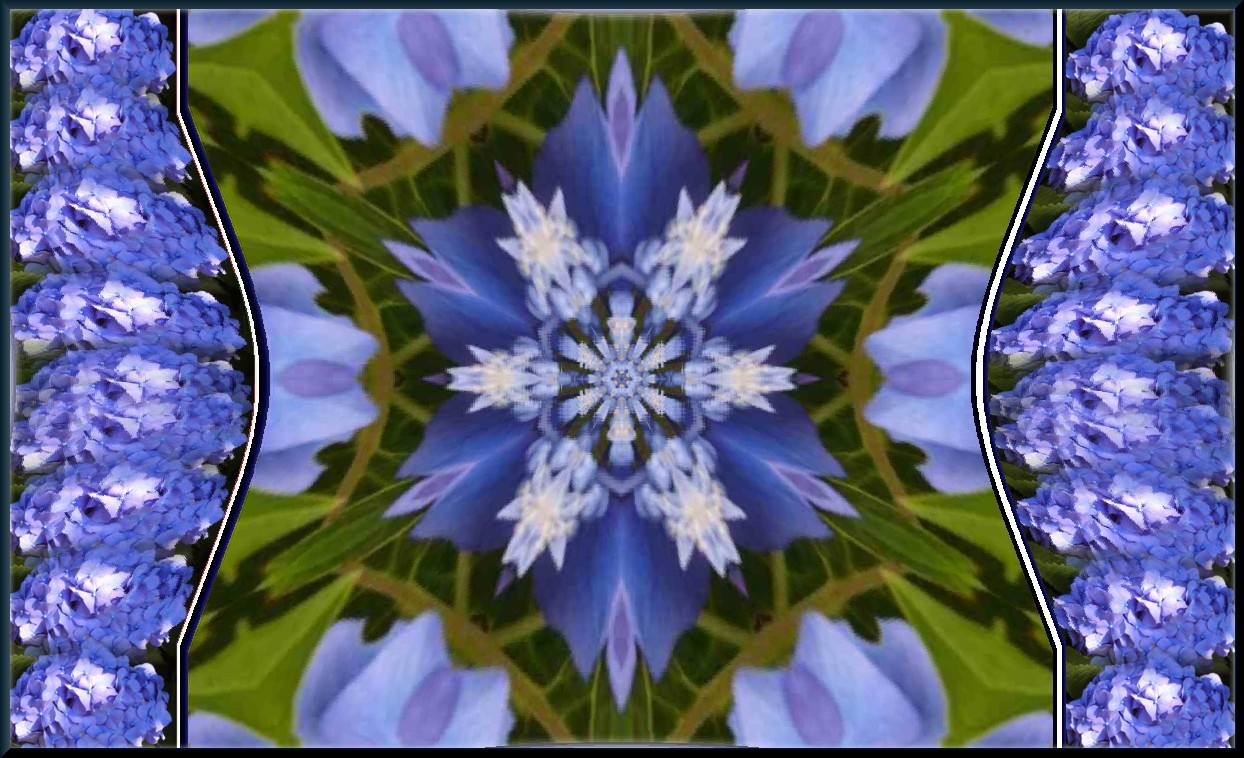 Collage blaue Hortensie