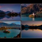 collage Bled