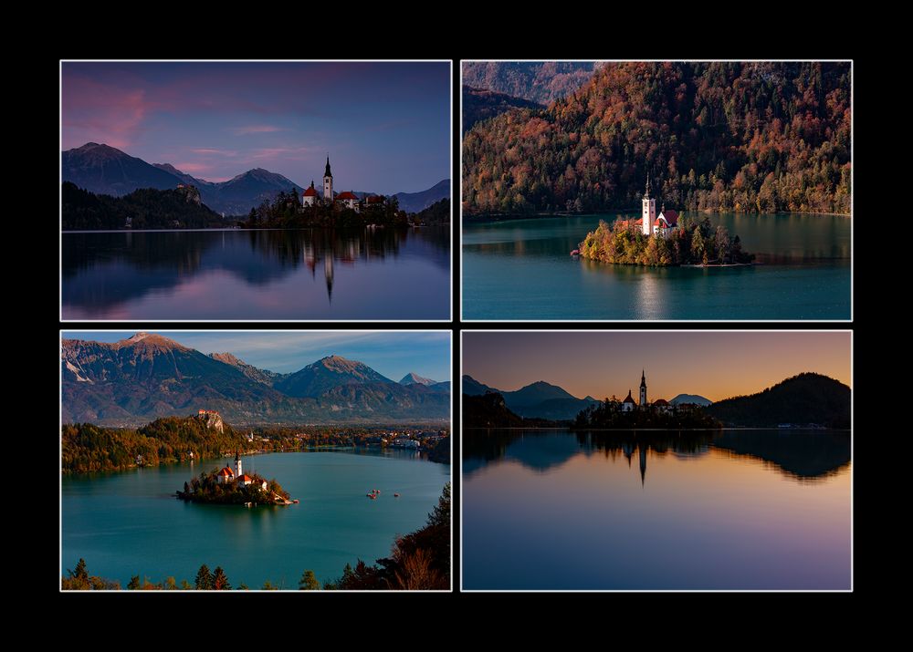 collage Bled