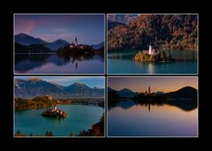 collage Bled