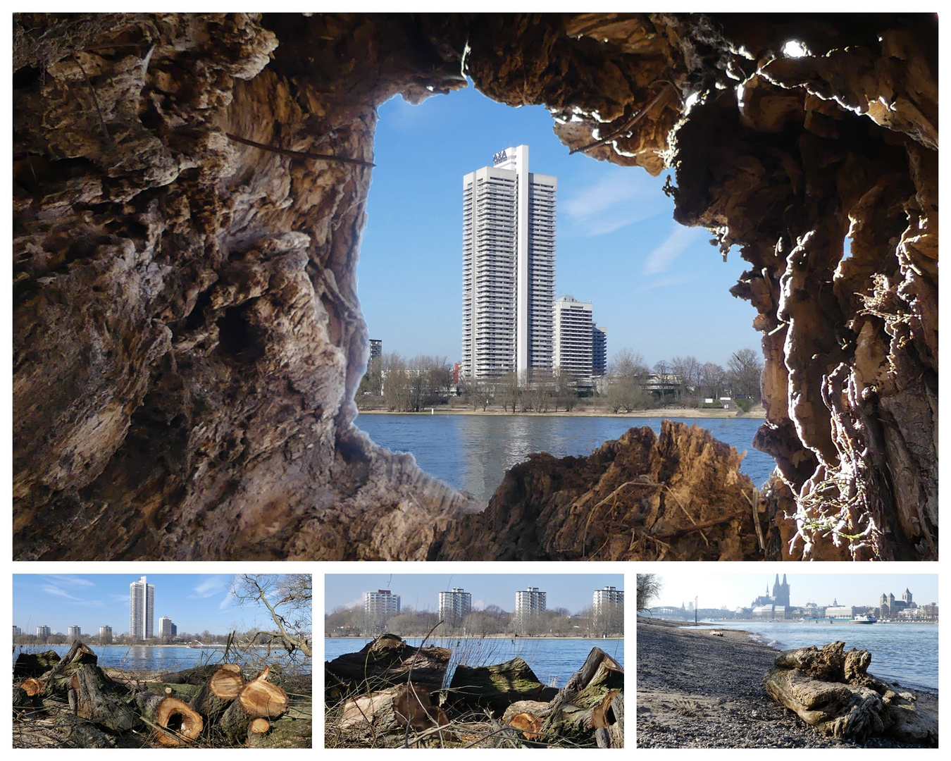 Collage - Blick durch einen hohlen Baumstamm über den Rhein