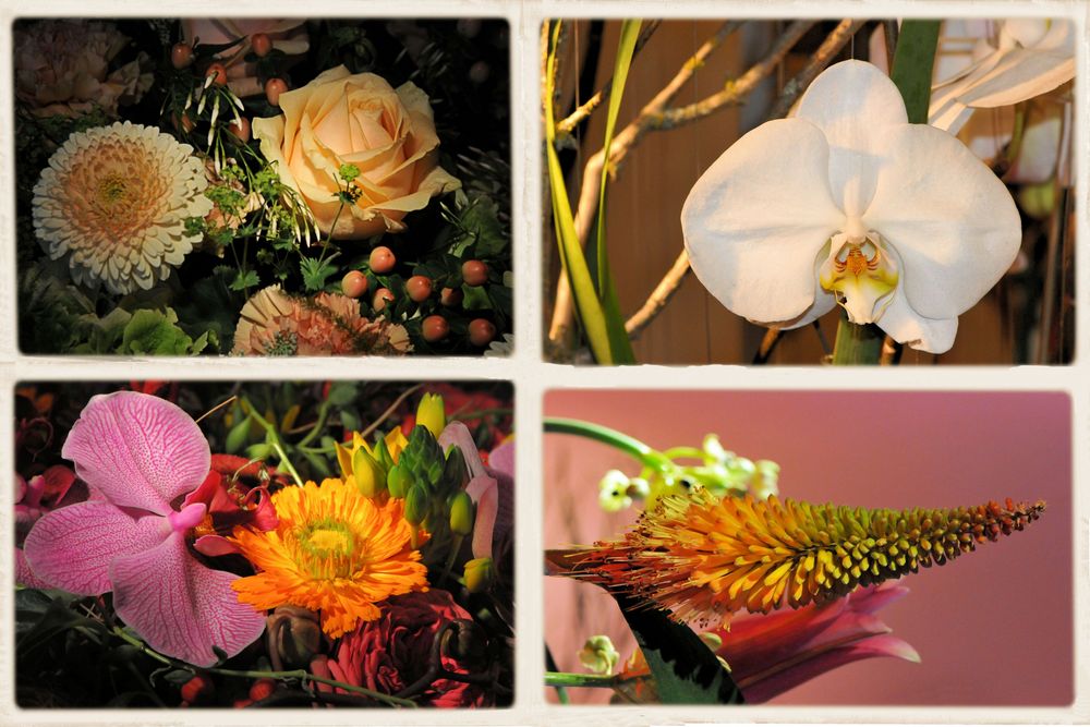 Collage Blumenhaus der LGS Nagold