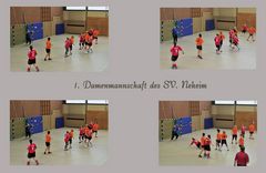 Collage der 1. Damenmannschaft.