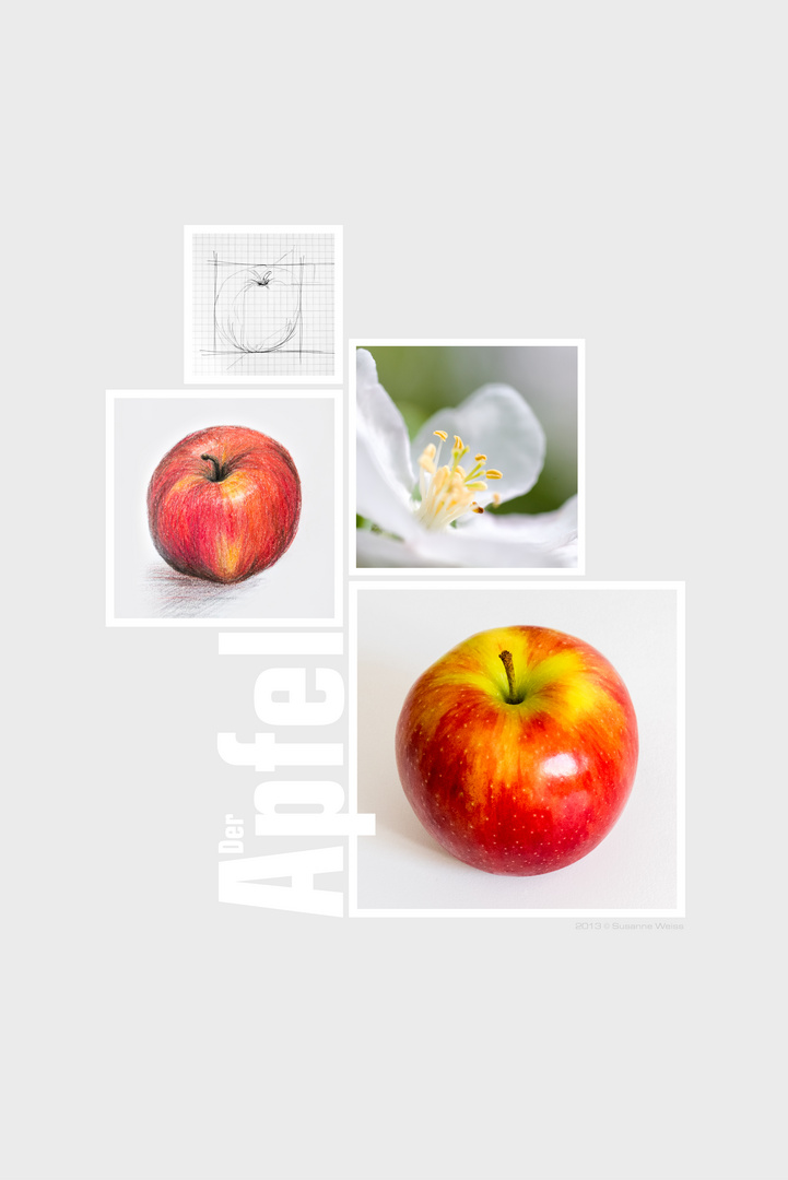 Collage "Der Apfel"