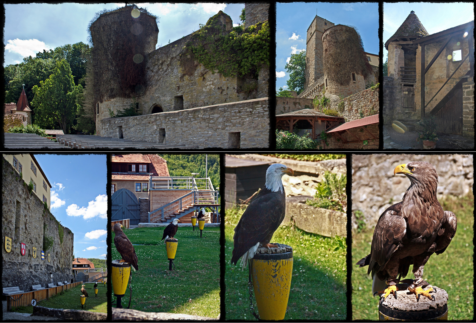 Collage der Burg Guttenberg mit Greifenwarte