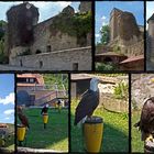 Collage der Burg Guttenberg mit Greifenwarte