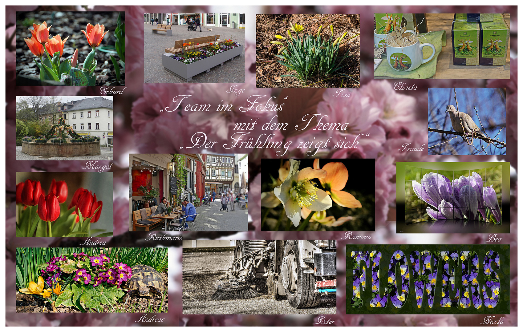 Collage " Der Frühling zeigt sich"