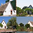 Collage di Barracas- Albufera