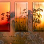 Collage eines Sonnenuntergangs