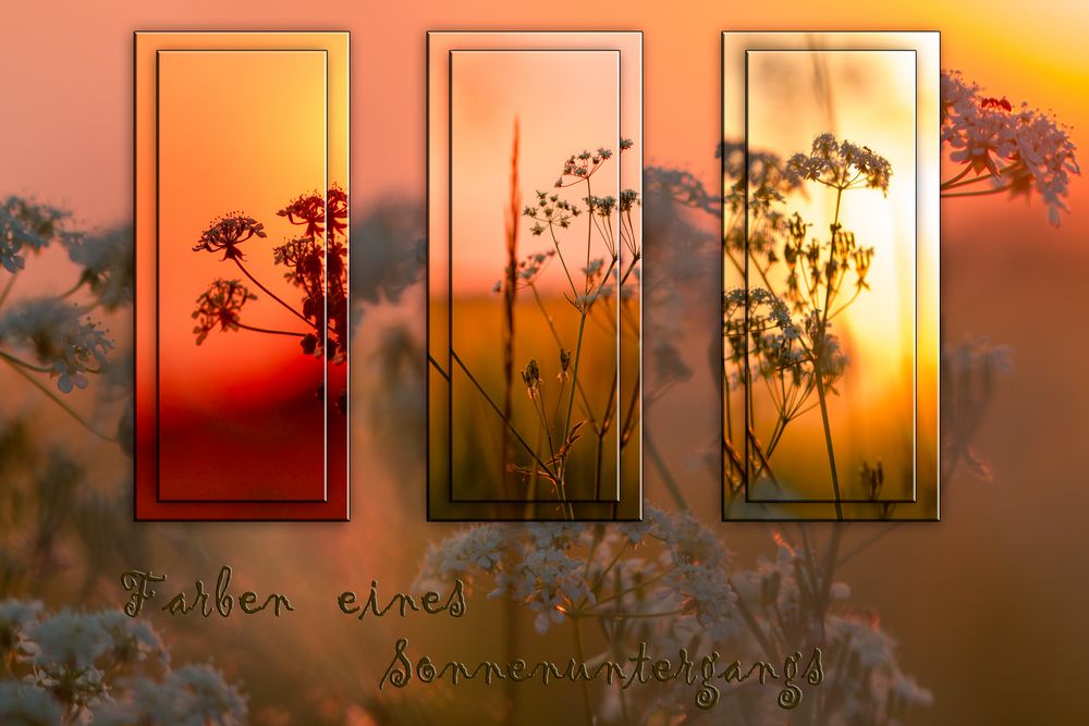 Collage eines Sonnenuntergangs