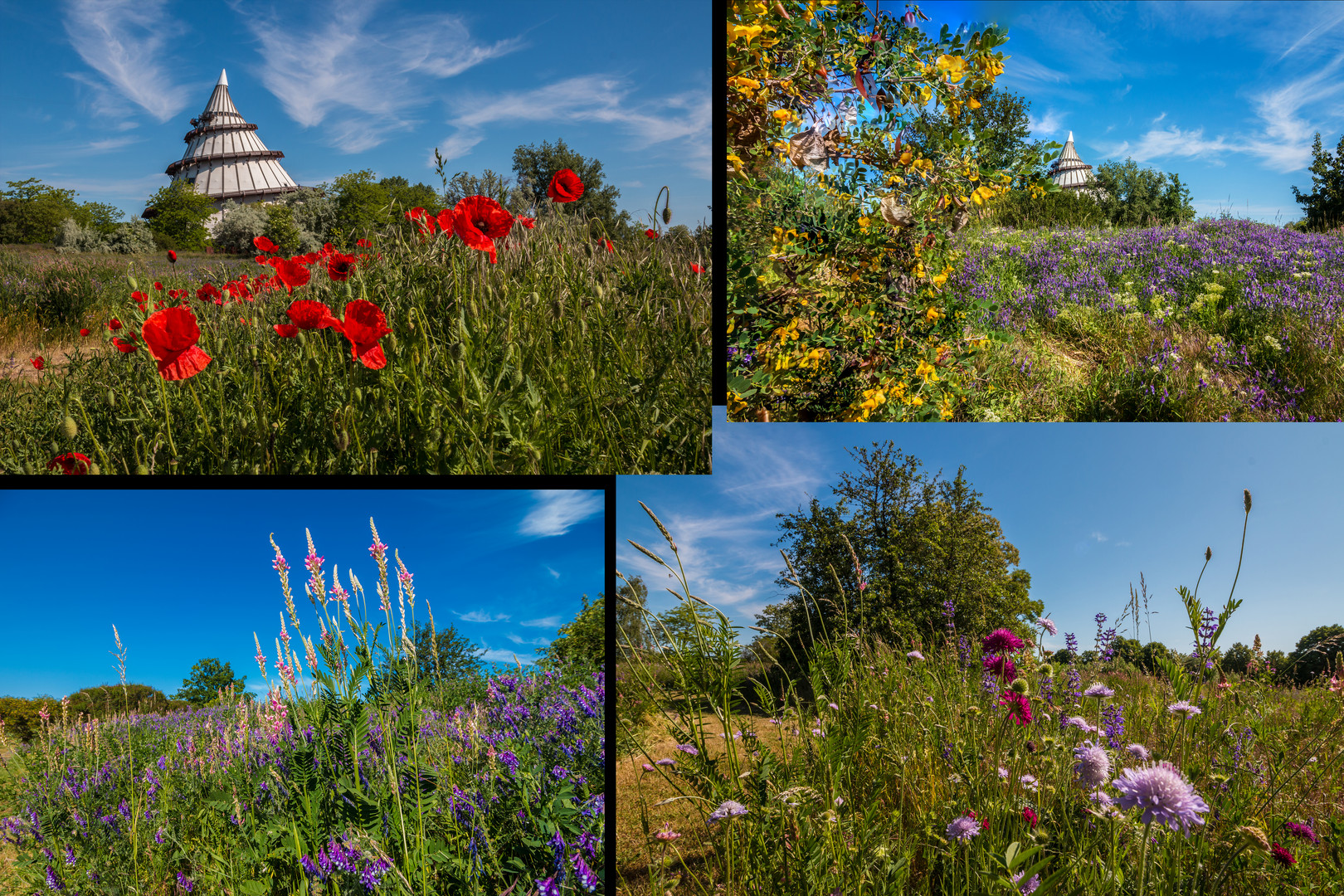 Collage Elbauenpark