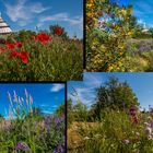 Collage Elbauenpark