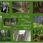 Collage "Fazination Wald"