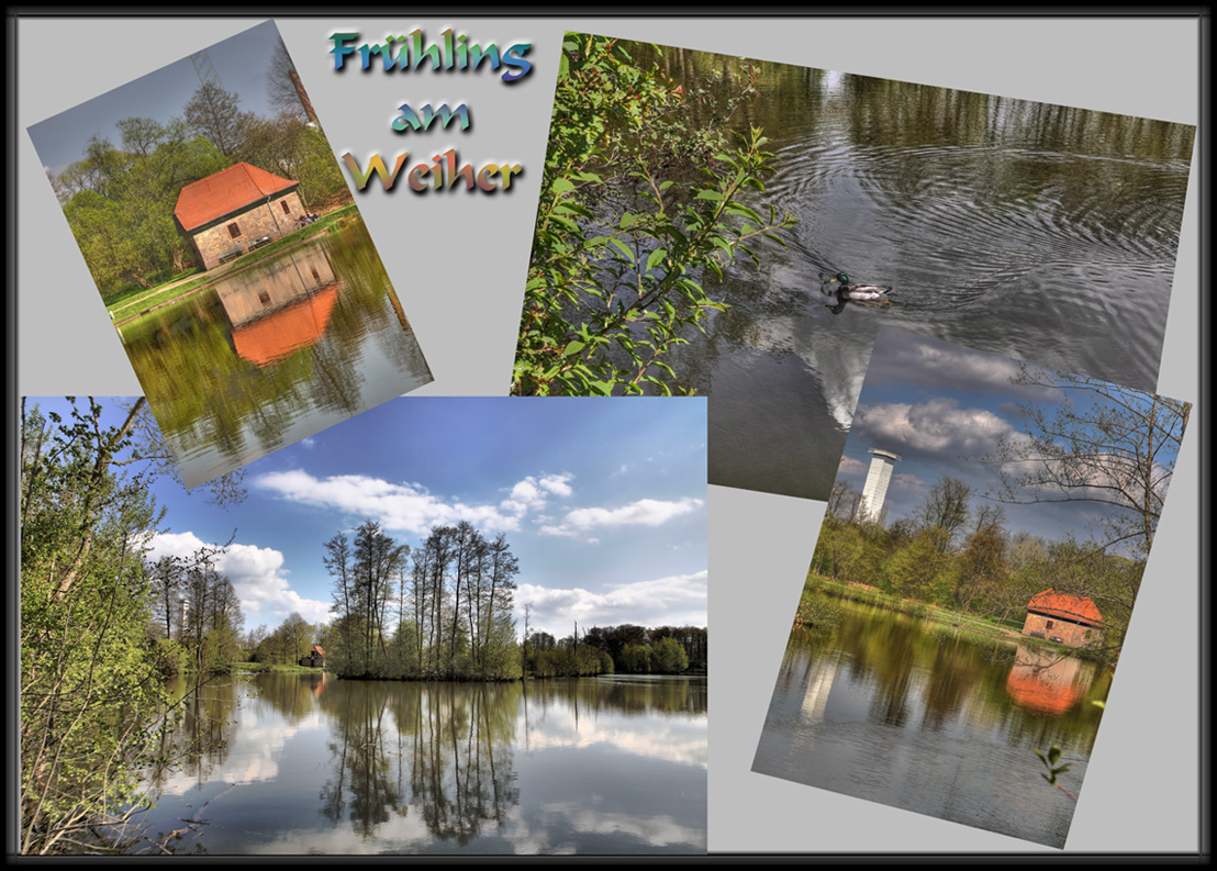 Collage Frühling