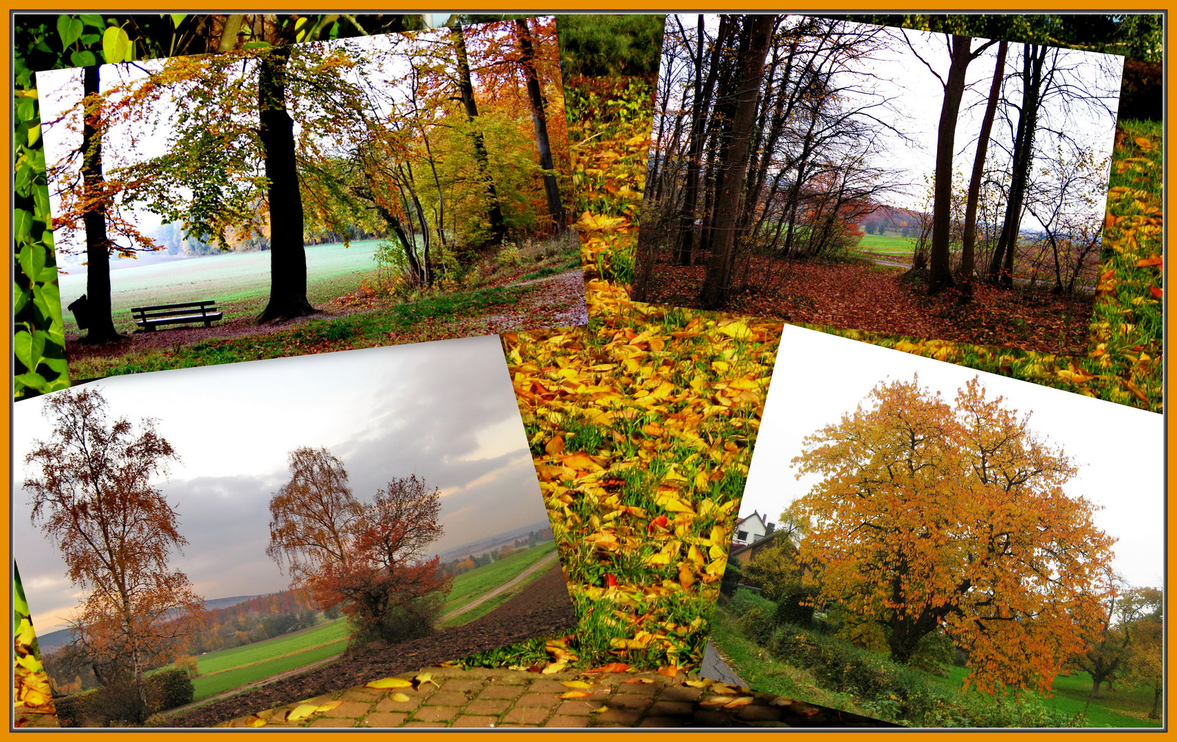 Collage Herbst