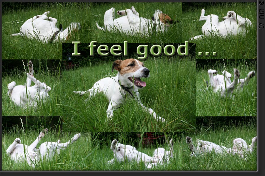 Collage: I feel good