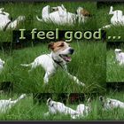Collage: I feel good