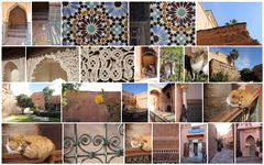 collage marrakech 2015