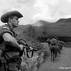 collage: Mulas en el Paramo Una Guerra Perdida