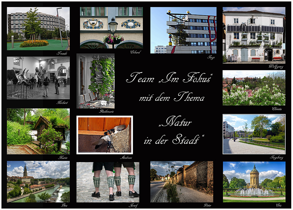 Collage "Natur in der Stadt"