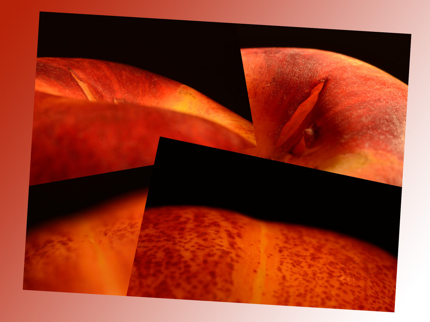 Collage of nectarines...