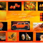 Collage "Orange"