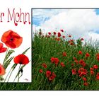 Collage Roter Mohn