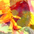 Collage Sonnenblume