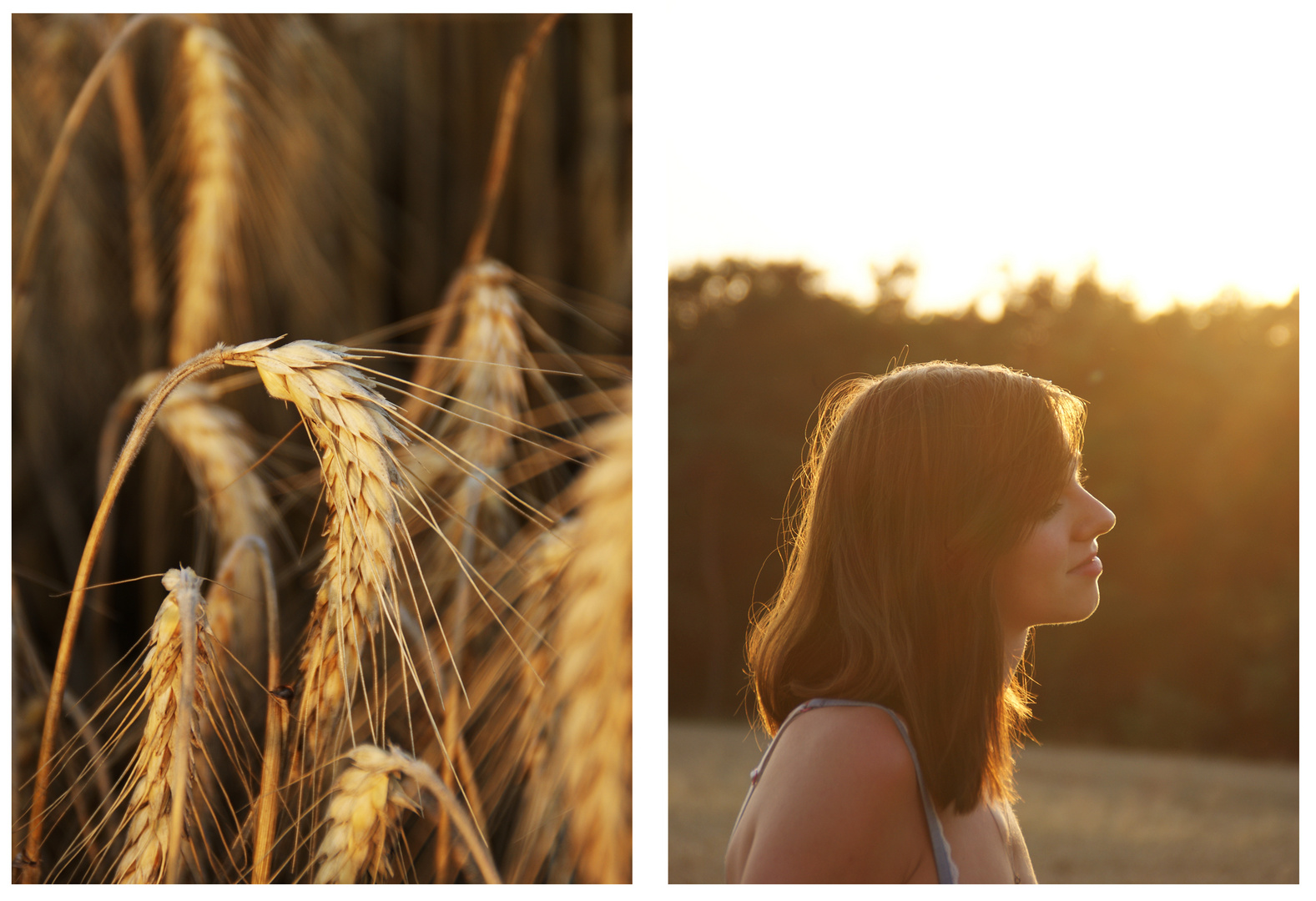 Collage Sonnenuntergang