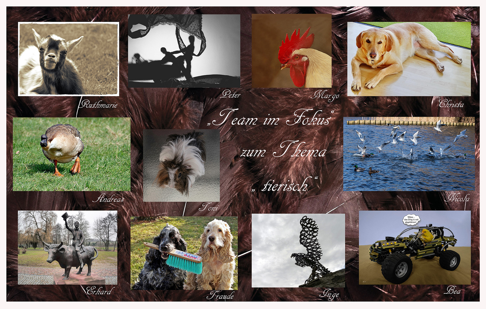 Collage "tierisch"