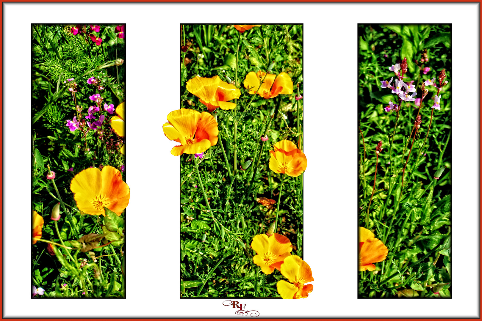  Collage Triptychon mit Blumen