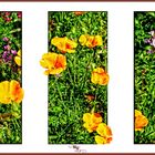  Collage Triptychon mit Blumen