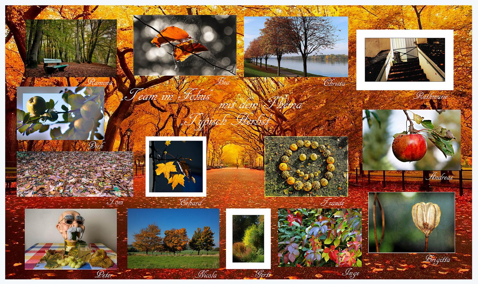 Collage "typisch Herbst"