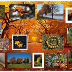 Collage "typisch Herbst"