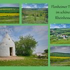 Collage vom Flonheimer Trullo