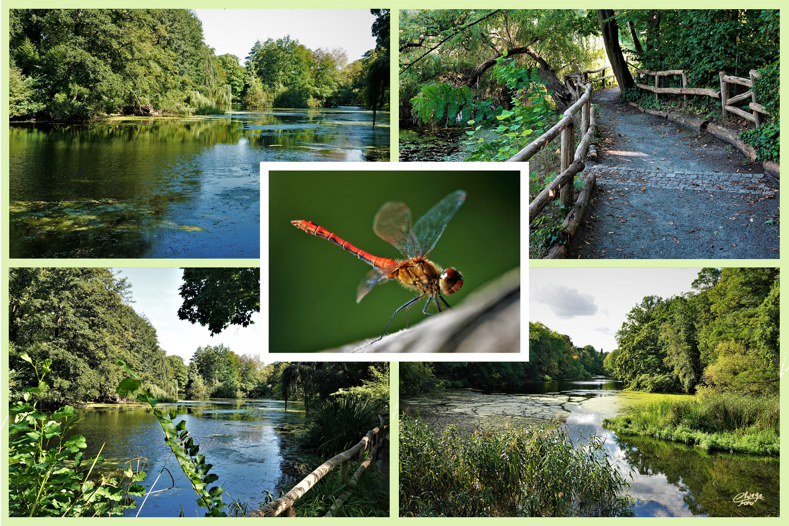 Collage vom Herthasee, Berlin.